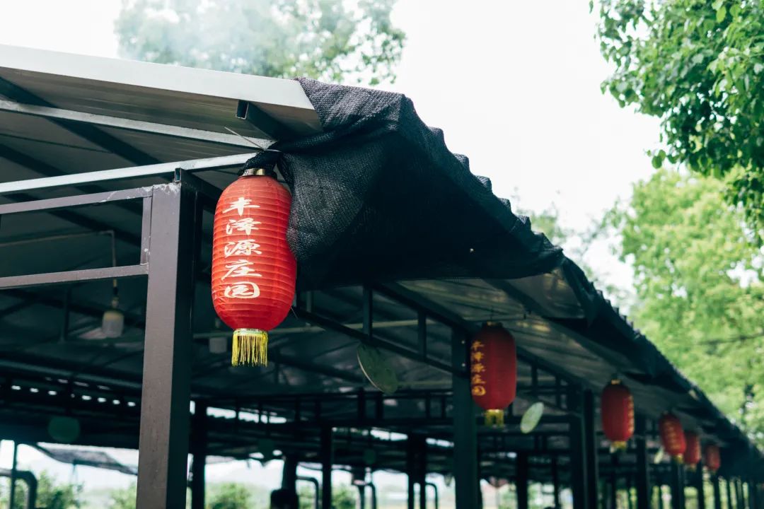 抓住春天的尾巴,来一场春游吧